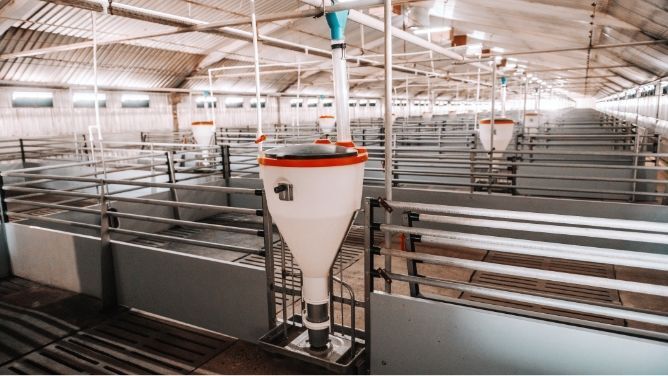 9. Animal Husbandry 1